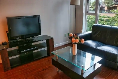 One Bedroom Apartment Image# 1