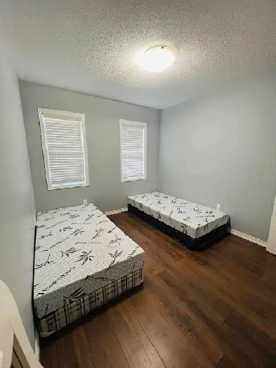 Private Room for Rent Image# 3