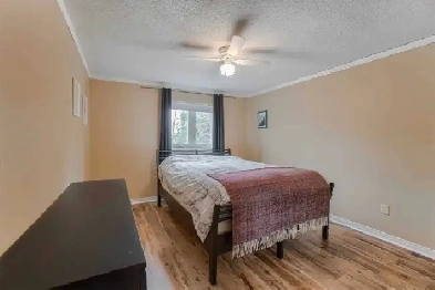 Private Room for rent Image# 1