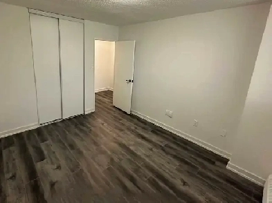 Large Private Room in Apartment Image# 1