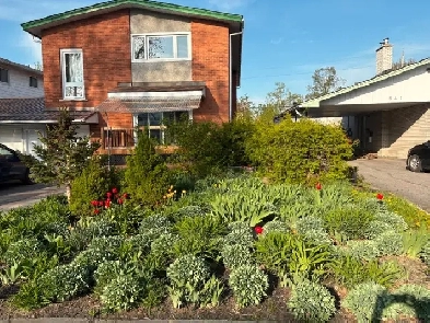 Bright and Spacious Two-Bedroom Apartment in Nepean Image# 1
