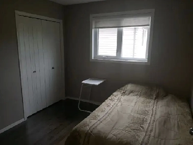 Room for Rent in Stony Plain/Spruce Grove, AB Image# 8