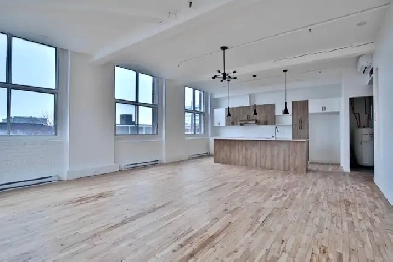 Sunny LOFT 2 rooms au Mile end Image# 4