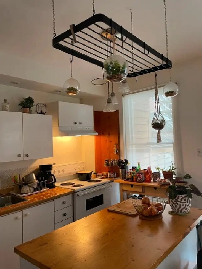 Appart MEUBLÉ - 1 chambre fermée - 3 min Métro Mont Royal Image# 1