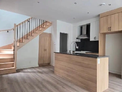 Appartement 5 1/2 Nouvelle construction / Apartment 5 1/2 New Image# 9