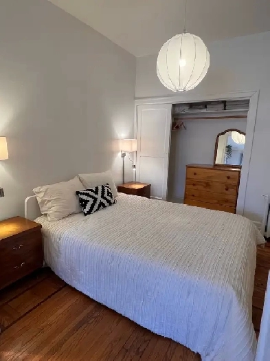 McGill adjacent appartment Image# 1