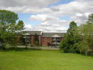 1-Bed Apt – $1,365 | Available Sept 6 | Loft Style Image# 1