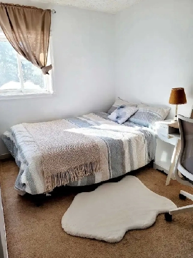 Chambre à louer Image# 6
