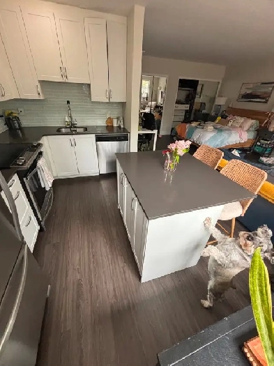 Cozy Furnished Studio Apartment for short term rental Image# 2