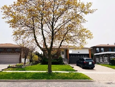 NEW LEGAL BASEMENT 3 BEDROOMS FOR RENT Image# 1