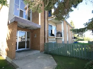 LARGE Renovated 2-BR suite near West Edmonton Mall (west-side) Image# 1