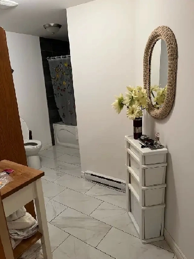 3 1/2 batchlor demi sous-sol 1er juillet Image# 1