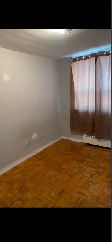 Room For Rent in HAMILTON Image# 1