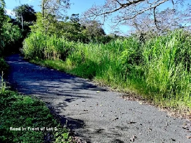 Small Lot for sale Costa Rica Image# 1