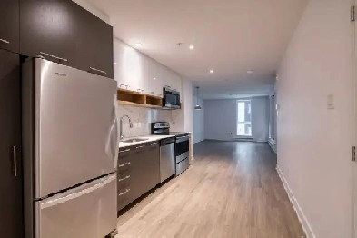 Large renovated 1 bedroom in Ahuntsic - ID 3941 Image# 1