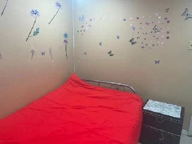 BASEMENT PRIVATE ROOM FOR RENT –FEMALE ONLY Image# 3