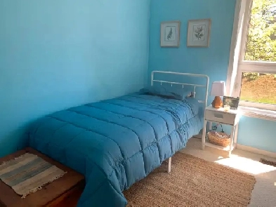 Room for Rent in Collingwood Image# 3