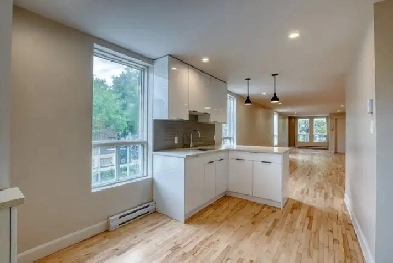 Open concept Fully Renovated Apartment Rosemont Image# 3