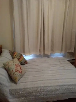 Cozy furnished 1 bedroom apartment downtown available June 1 Image# 1