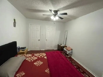 Private room for rent for one girl Image# 1