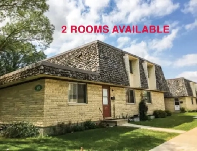 2 rooms available! Image# 5