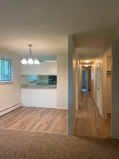 Spacious 2 Bedroom Apartment in Mirror, AB Image# 1