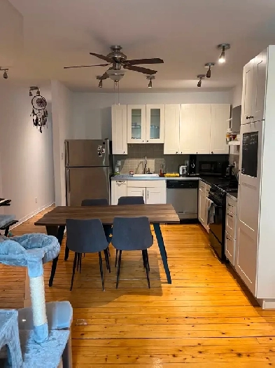 Grand lumineux 3 1/2 à louer sur le Plateau Mont-Royal Image# 1