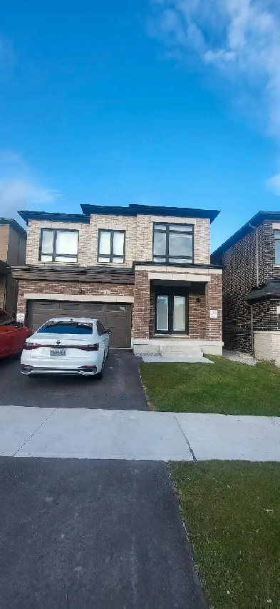 BRAND NEW BASEMENT FOR LEASE Image# 1