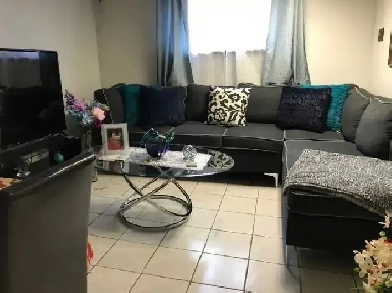 FOR RENT 1 bedroom apartment basement Scarborough Toronto Image# 5