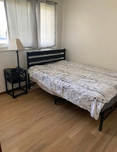 Room for rent - West Kildonan Image# 3