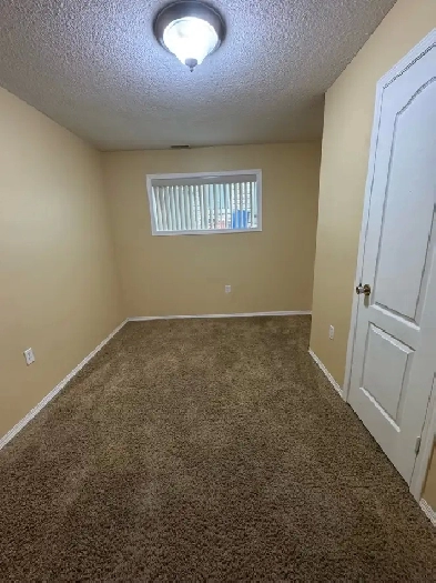 basement bedroom for rent Image# 5