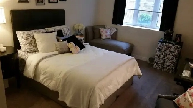 1 BR Separate Entrance Basement Apartment For Rent NEWMARKET Image# 4