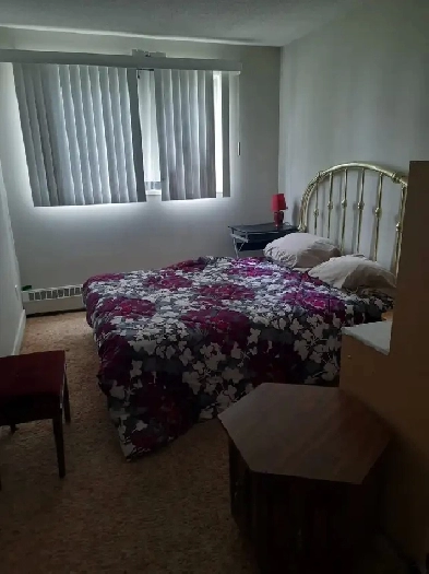 One bedroom for rent in Morinville Image# 1
