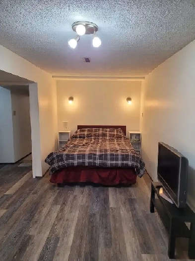 Bright, spacious bachelor suite located Northeast Edmonton. Image# 1