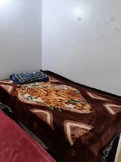 SHARED ROOM 4RENT 4 TWO GIRLS IN MALTON MISSISSAUGA.1 6476996265 Image# 1