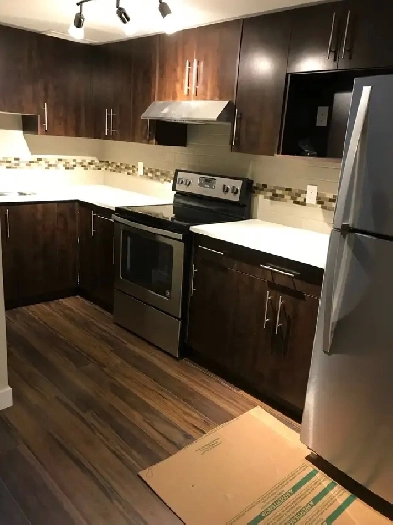 2 bedroom basement for rent Image# 1