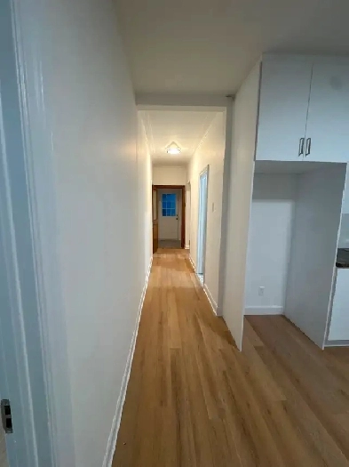 Apparentement, duplex a louer, for rent Image# 4
