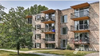 Cozy 1 bed 1 bath apartment Sunnyside Location Image# 1