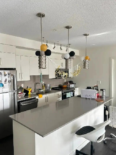 Edmonton Downtown 2b2b Apartment Looking for Short Term Tenant Image# 16