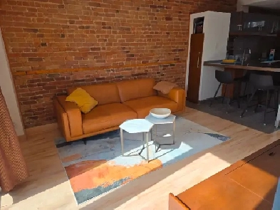 Bel appartement 4 1/2 Plateau Image# 1