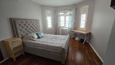 1 bedroom / private Washroom prime location Image# 4