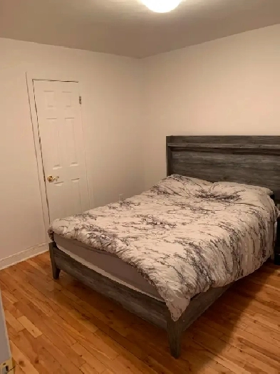 3 1/2 Rosemont  –  2 Balcons -  Premier Etage Image# 1