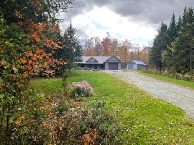 Inverness : Domaine de 91,6 acres, érablière Image# 6