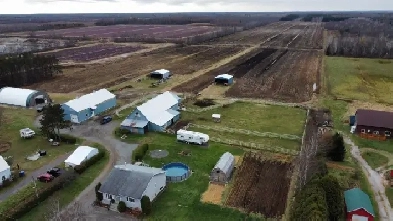 Lemieux ferme 124a écurie, garage,terre cultivable,érablière Image# 9