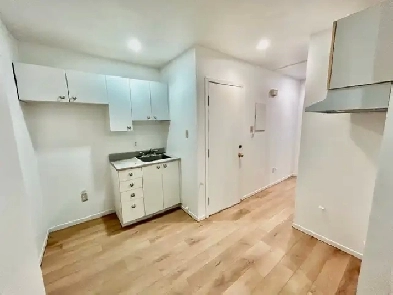 Magnifique 4 1/2 sur le Plateau Mont-Royal Image# 5