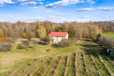 Hatley, domaine de 30 acres, bleuets et cassis, bâtiments Image# 1