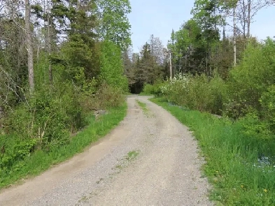 37 Pilgrim St., Bruce Mines Image# 4