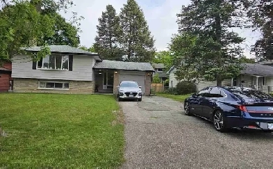 2 bed 1 bath Basement Apartment for Rent Image# 8