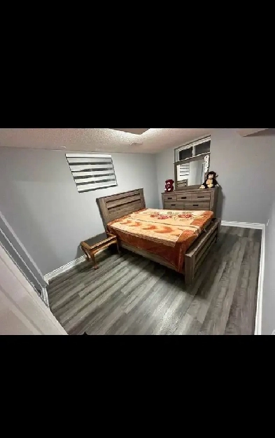 one bedroom private basement Image# 6