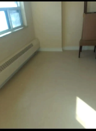 Beautiful bright newly renovated one bedroom apartment in Toront Image# 3